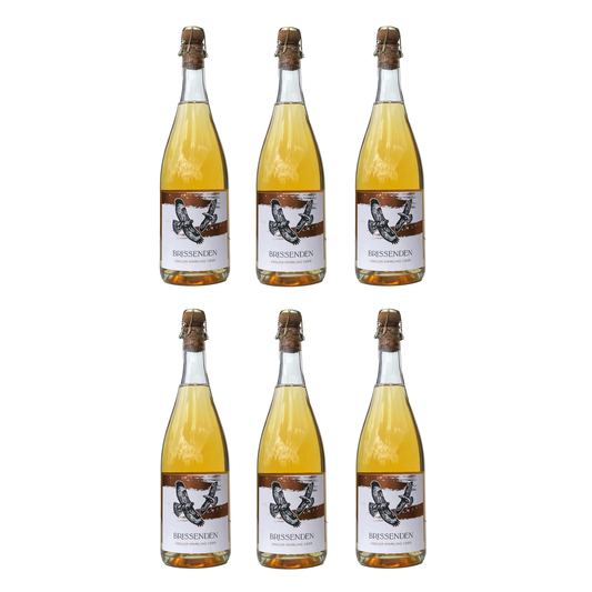 Case - English Sparkling Cider - Brut (6 bottles)